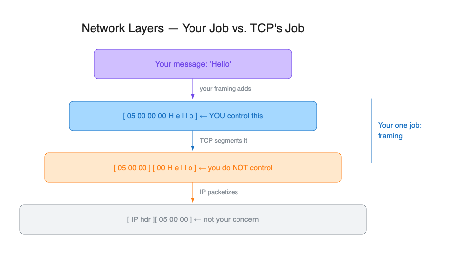 Network Layers: Your Job vs TCP's Job